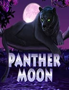 เว็บ พนัน 1688 กับการใช้สูตรเล่นสล็อตออนไลน์